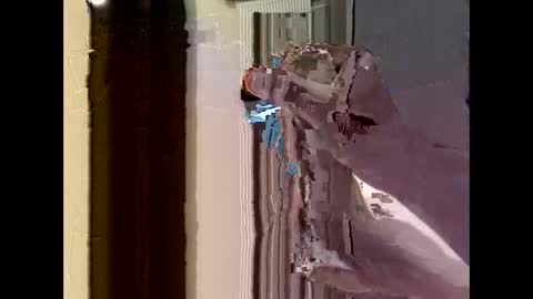 nolplus online show from 09.22.25