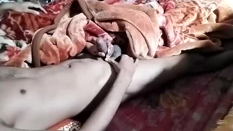 Snapshot of nooby942461 chatting on 01.28.25 sim nib online show from 01.28.25