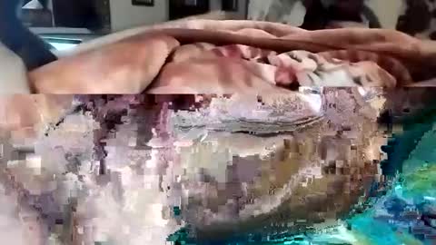 Snapshot of nooby942461 chatting on 03.01.25 sim nib online show from 03.01.25