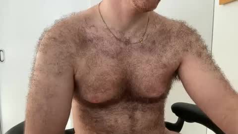 No Plan online show from 02.01.26