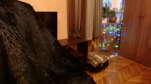Snapshot of norma_gin chatting on 12.28.24 miss Tress online show from 12.28.24