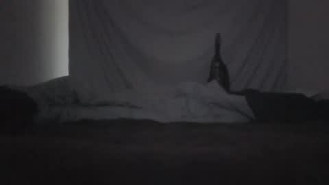 norty450 online show from 02.10.26