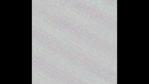 Novinhoo online show from 03.09.26