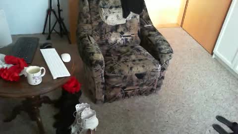 Strumpfhose online show from 04.16.26