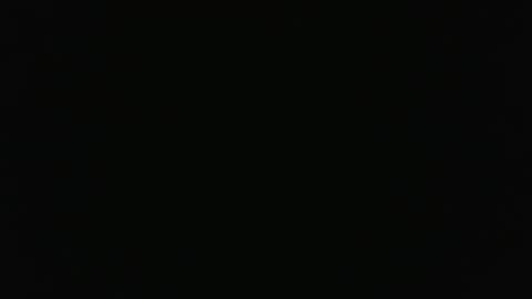 nyr95 online show from 11.08.25