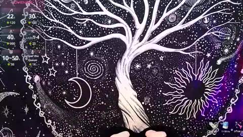 Snapshot of nyx_murtualer chatting on 12.16.25 nyx murtualer online show from 12.16.25