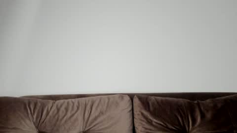 Snapshot of o_r_b_i_t chatting on 01.21.25 o_r_b_i_t online show from 01.21.25