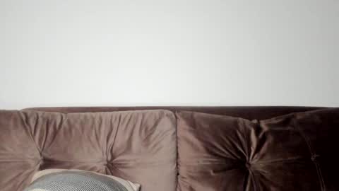 Snapshot of o_r_b_i_t chatting on 01.31.25 o_r_b_i_t online show from 01.31.25