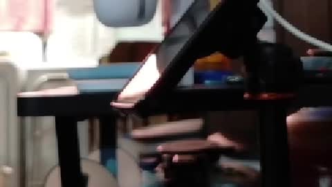 Snapshot of obsidian_stallion chatting on 07.19.26 Obsidian stallion online show from 07.19.26