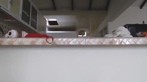 Val online show from 01.29.25