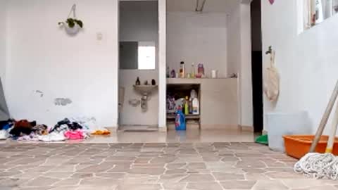 Val online show from 10.22.25