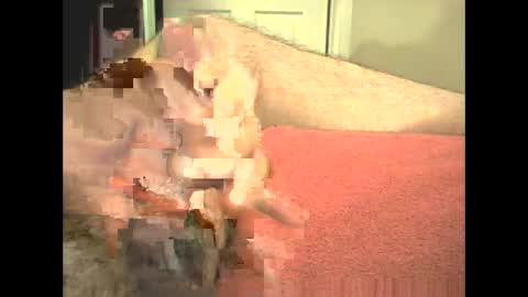 odinswarrior online show from 02.28.26