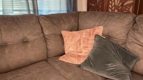 Tams online show from 09.09.25