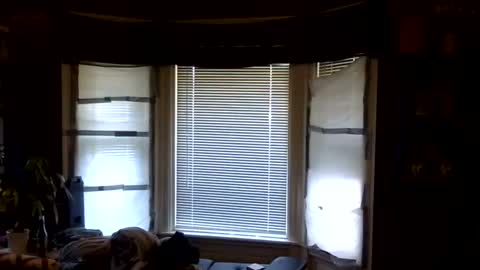 oscar flores online show from 04.06.26