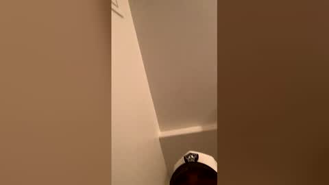 Snapshot of ognemomonies chatting on 02.19.26 ognemomonies online show from 02.19.26