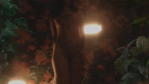 your dear Lilith Chapman online show from 02.17.25