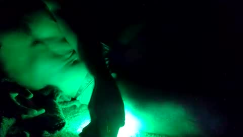 oibrev49 online show from 03.21.26