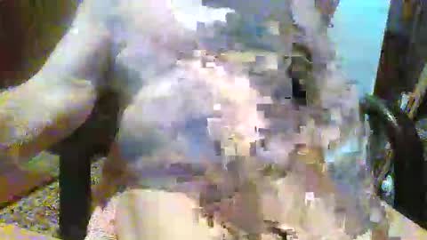 William online show from 12.14.25