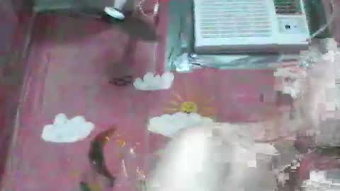 oldbuthorny62 online show from 11.23.25