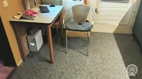 oldersagger online show from 12.04.25