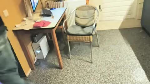 oldersagger online show from 12.05.25