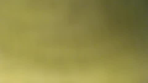 oliver_laid_2023 online show from 11.30.25