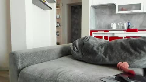 oliviamuur online show from 03.31.26