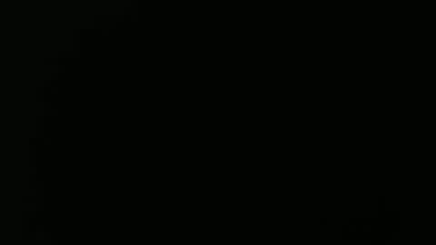 olli_5 online show from 02.13.25