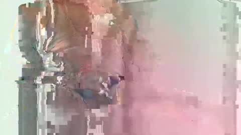 olover online show from 03.01.25