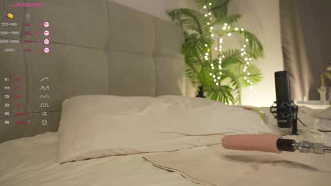 Lily dont forget to follow me  good to see you all online show from 03.01.25