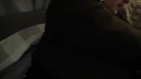 onthedlhere online show from 12.24.24