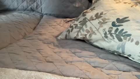 onthedlhere online show from 01.09.25