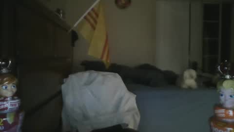 Snapshot of oorah1775 chatting on 03.01.25 oorah1775 online show from 03.01.25