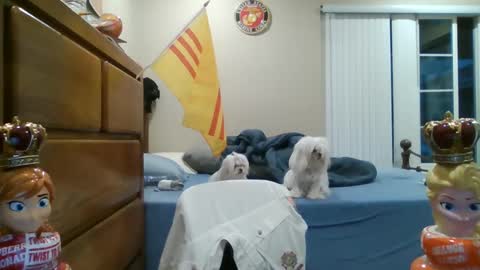 Snapshot of oorah1775 chatting on 03.02.25 oorah1775 online show from 03.02.25