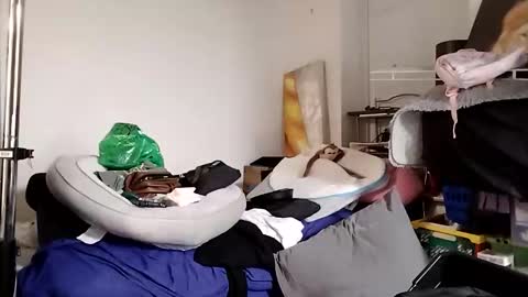 TsJojo online show from 12.01.25