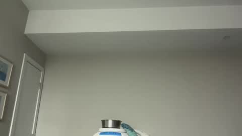 Horny and Bicurious online show from 04.07.26