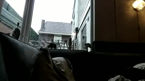 Openminded online show from 12.30.24