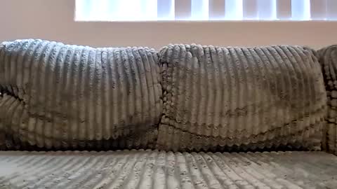 or2jrz online show from 11.18.25