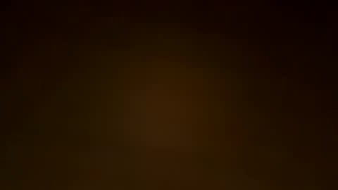 Snapshot of oralzoo2 chatting on 11.03.25 oralzoo2 online show from 11.03.25