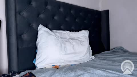 Snapshot of origamicat chatting on 01.26.25 origamicat online show from 01.26.25