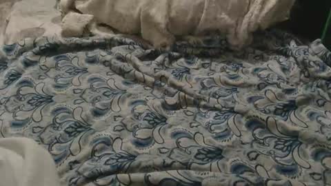 Snapshot of originalcali95 chatting on 02.02.26 originalcali95 online show from 02.02.26