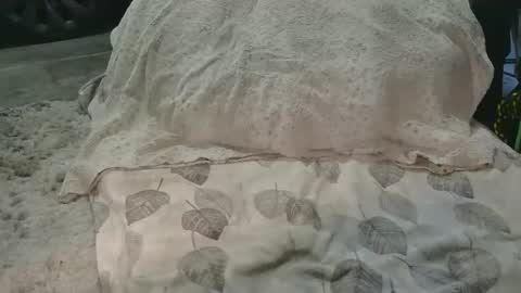 Snapshot of originalcali95 chatting on 03.15.26 originalcali95 online show from 03.15.26