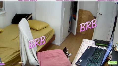 Snapshot of osito_blanco chatting on 01.30.25 Osito Blanco online show from 01.30.25