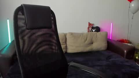 Snapshot of ostin_meoww chatting on 01.14.26 Ostin online show from 01.14.26