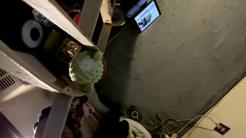 CoCreatorBlancki online show from 01.03.25
