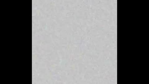 Snapshot of p0rsche911 chatting on 12.12.24 Alice online show from 12.12.24