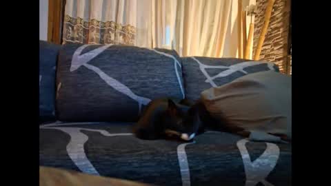 Snapshot of p326032 chatting on 11.03.25 p326032 online show from 11.03.25