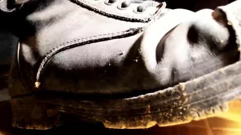 Pablo Meness online show from 01.31.26