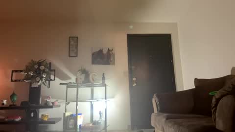 Snapshot of paigethekinkyone chatting on 12.17.24 PrincessTsVivian online show from 12.17.24