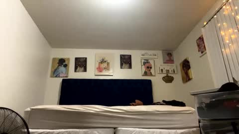 Snapshot of paigethekinkyone chatting on 12.28.24 PrincessTsVivian online show from 12.28.24